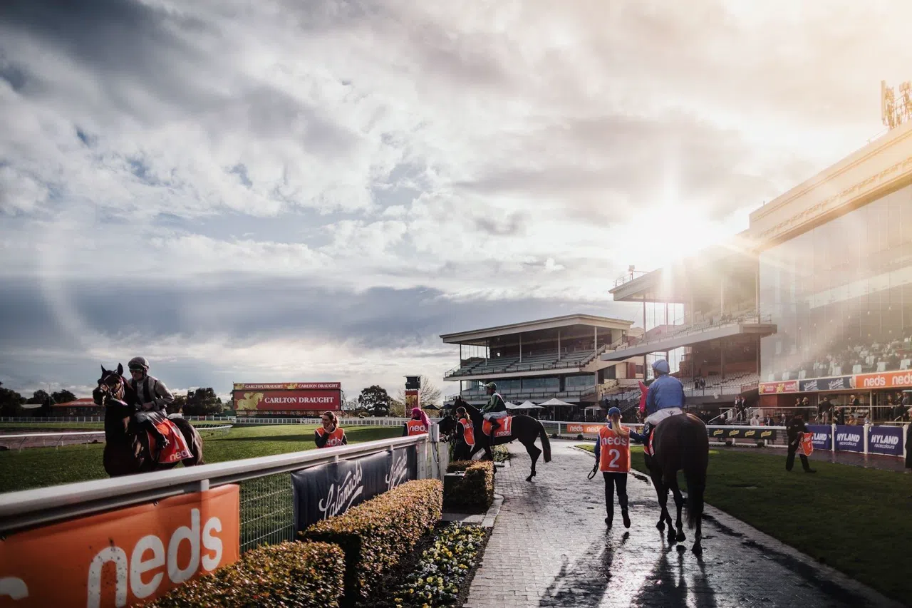 Melbourne Racing on Twenty Dollars and a Train Ticket